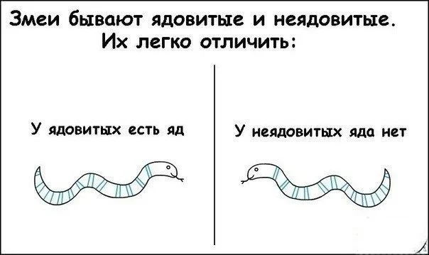 P1OmaTQauAE.webp