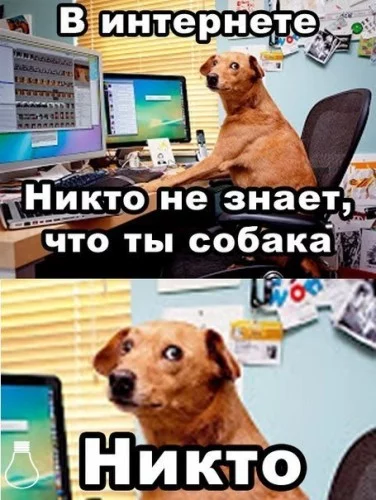 p3DHLEhvH3U-376x500.webp