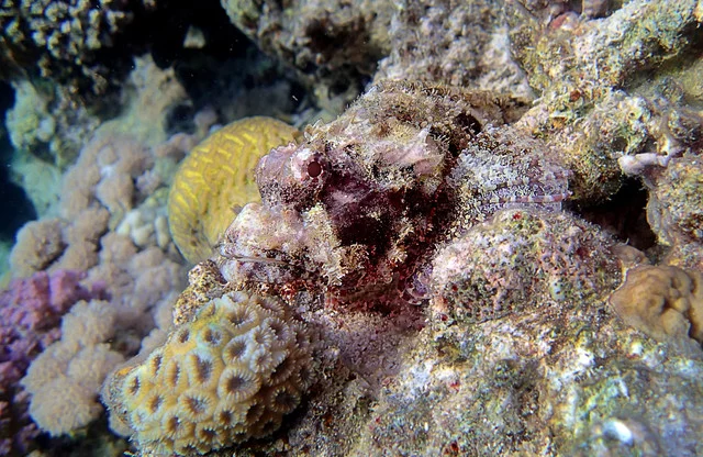 P4080057.webp