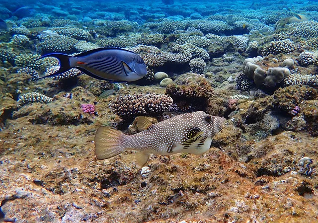 P4090022.webp