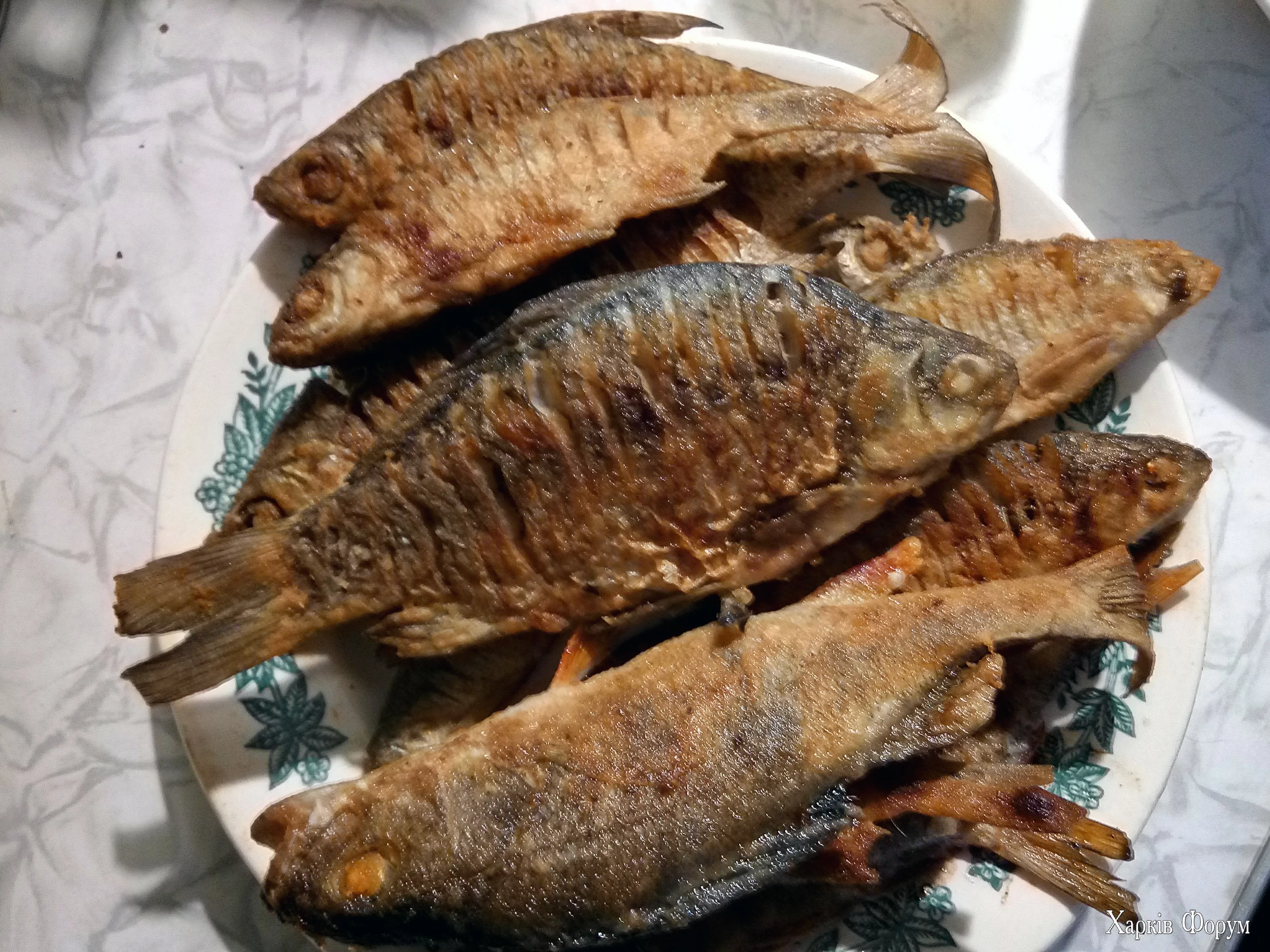 P41020-143508.webp