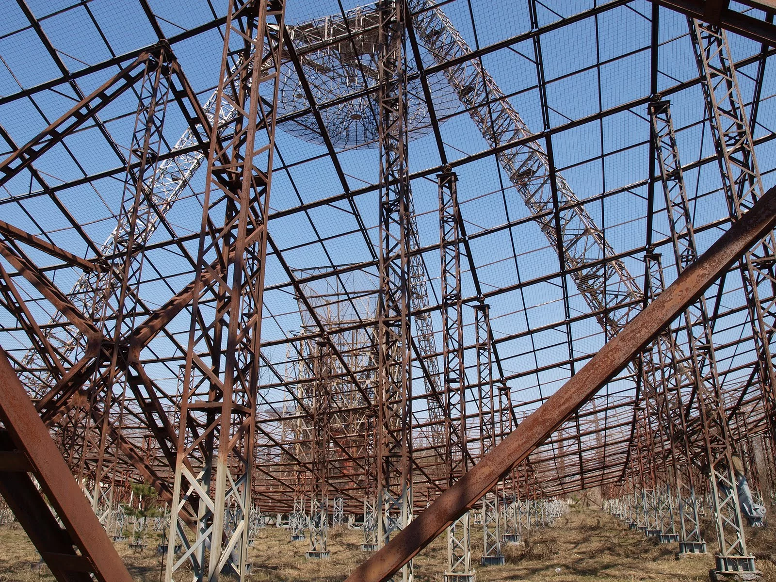 P4121884.webp