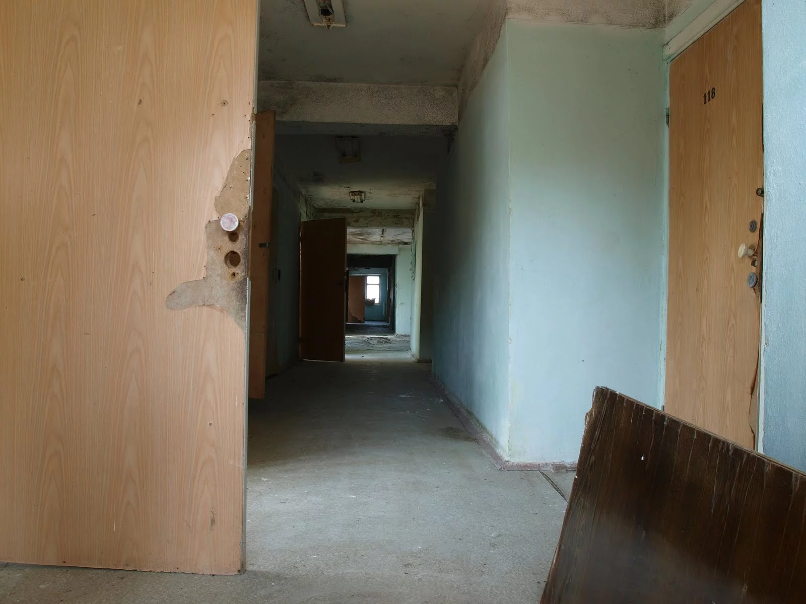 P4121969.webp