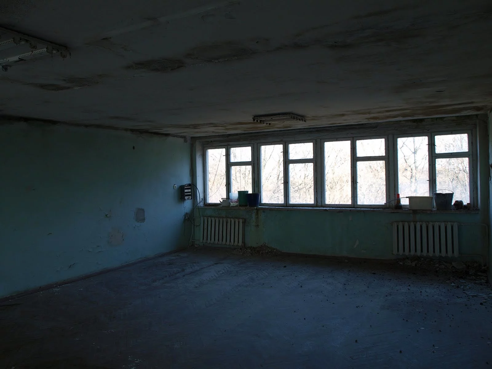 P4121970.webp