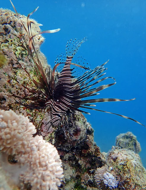 P4160091.webp