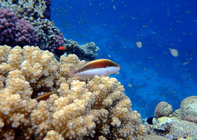 P4160109.webp
