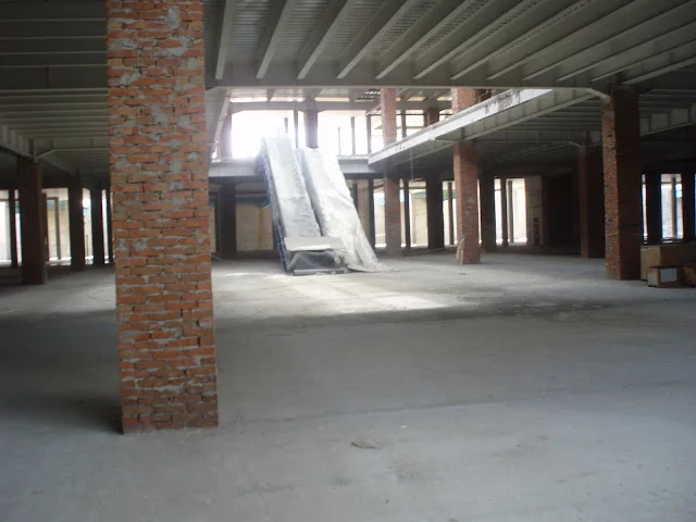 P4200241.webp