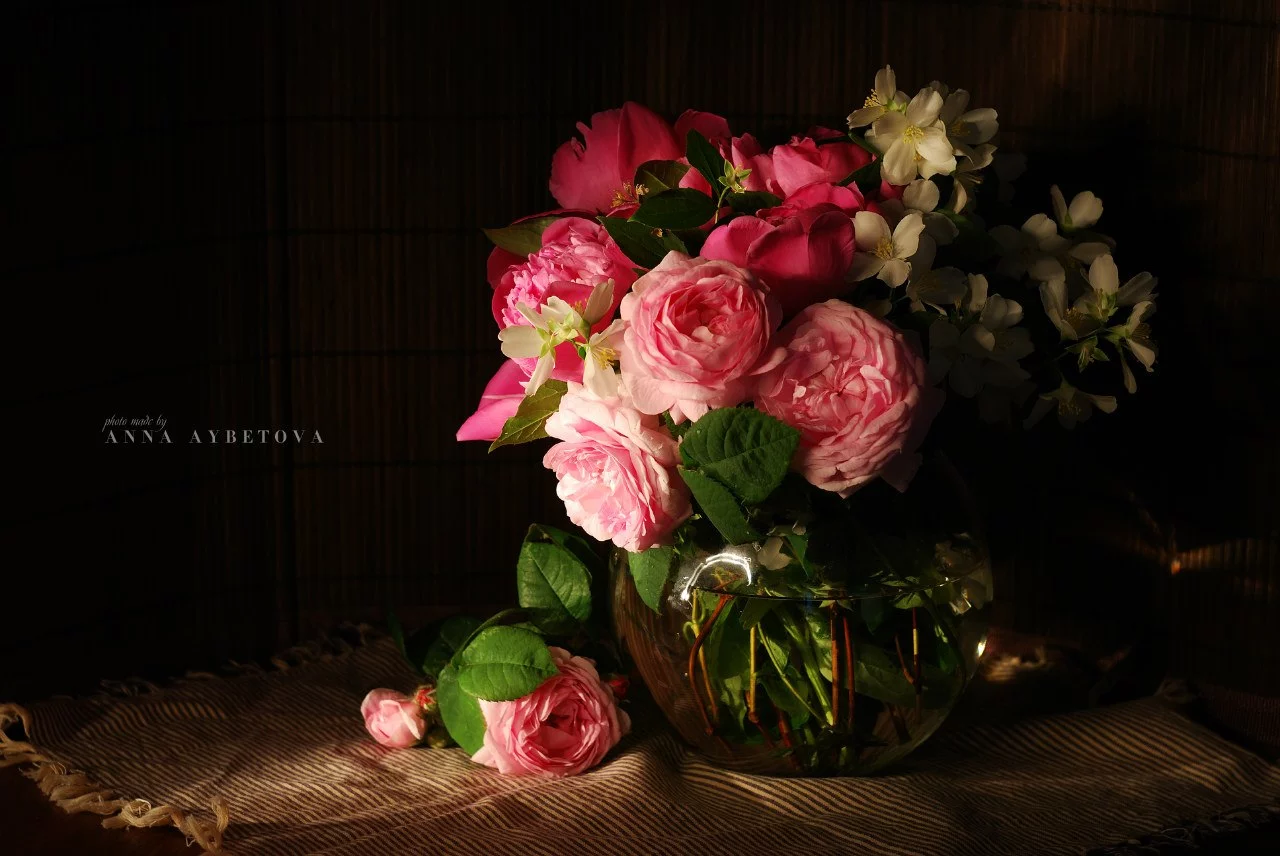 P5-W455rUbk.webp
