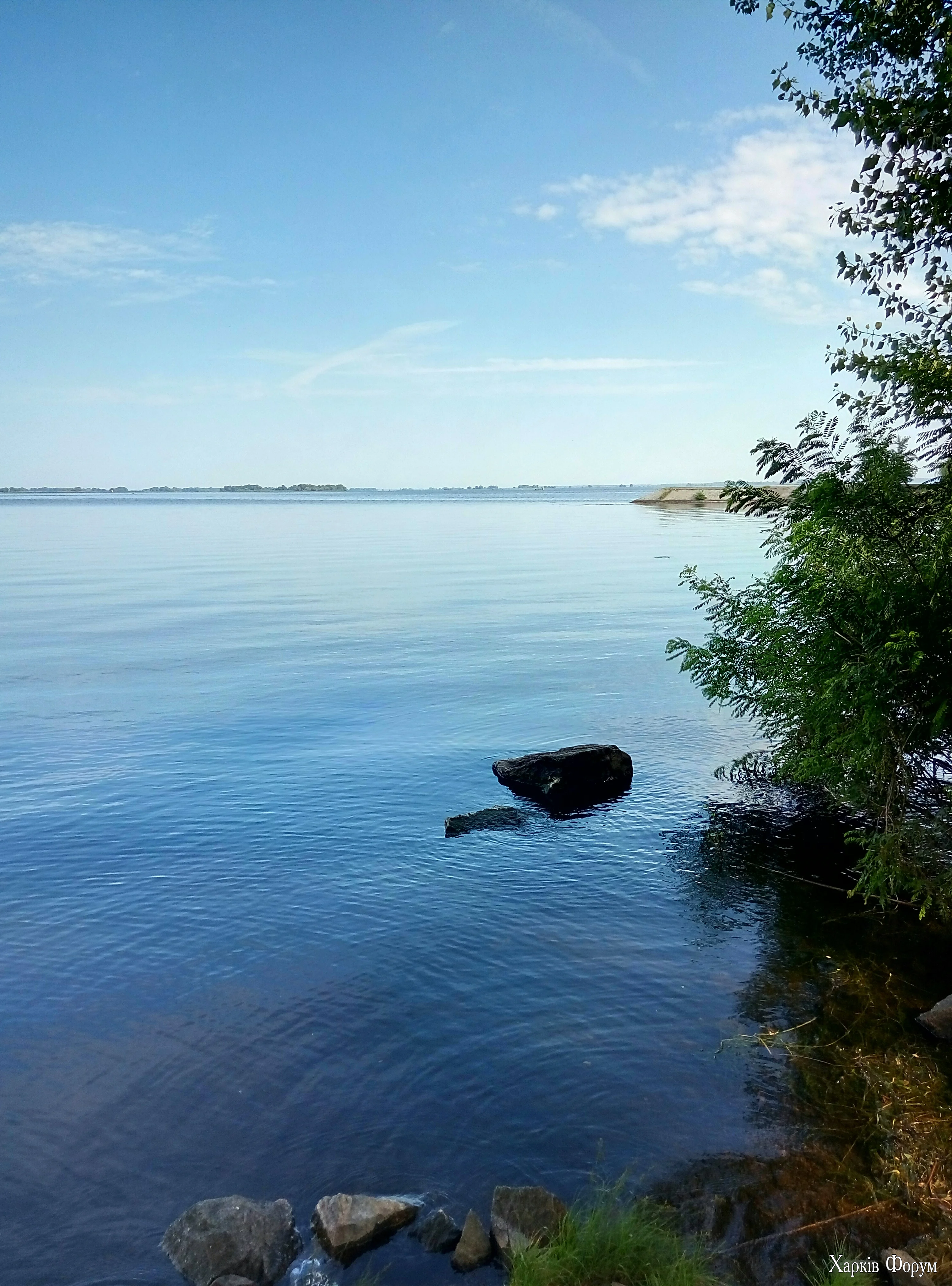 P60710-084221.webp