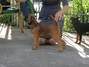 P6092840.webp