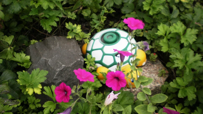 P7170264.webp