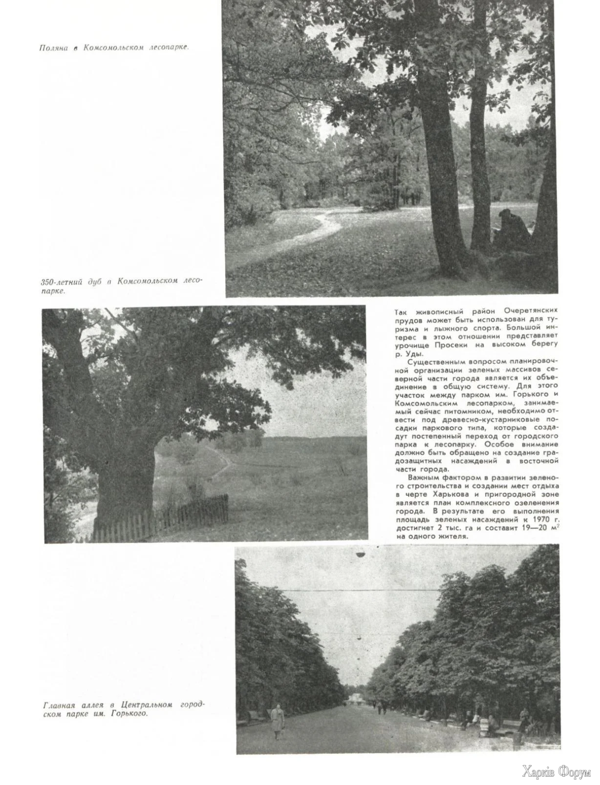 p81.webp