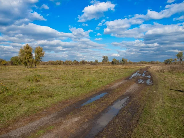 PA142982.webp