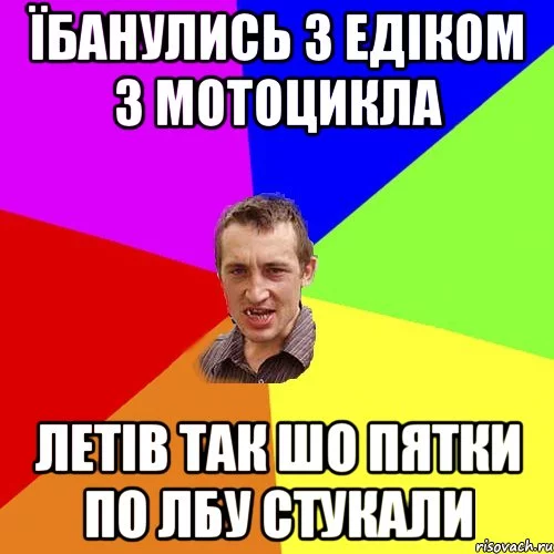 paca_37454819_orig_.jpg