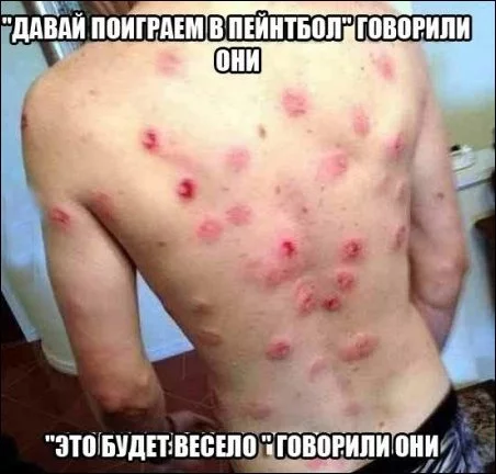 paintball-005.webp