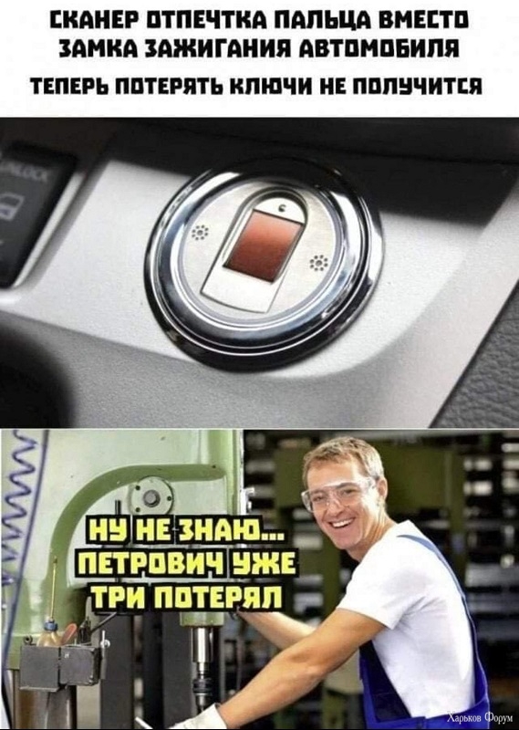 pal.jpg