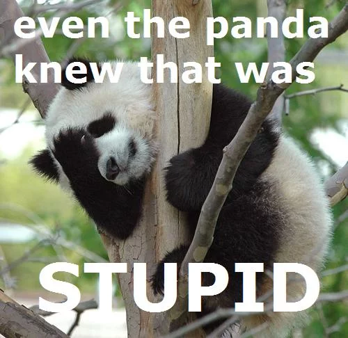 panda-facepalm1.webp