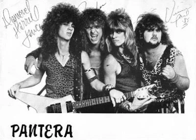 pantera2.webp