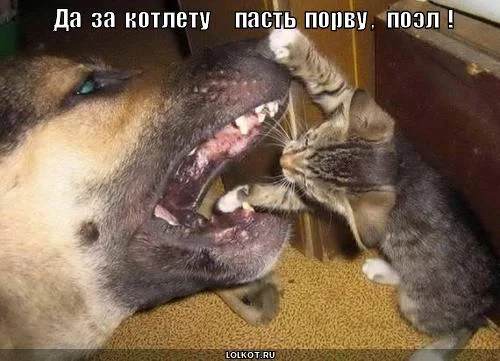 past-porvu_1282820551.webp