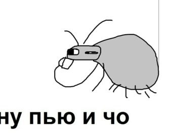 pauk-pet-govno-360x270.jpg