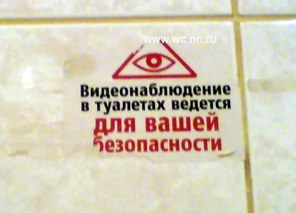 pautina0706_2.webp