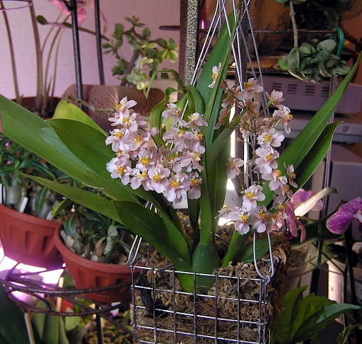 PB107029.webp
