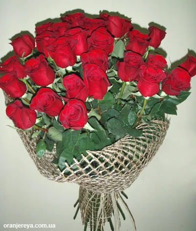 pb270028_pozdravitelniy_vse_dlya_tebya.webp