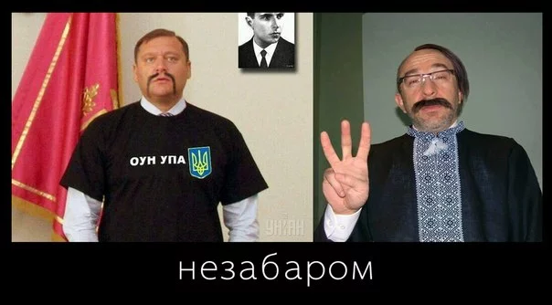 pDRgO824oXs.webp