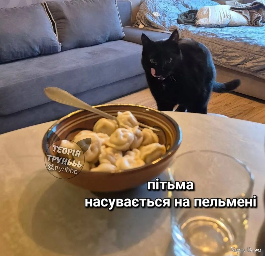  пельмені.webp