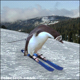 penguinski.gif