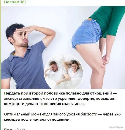 perd.webp