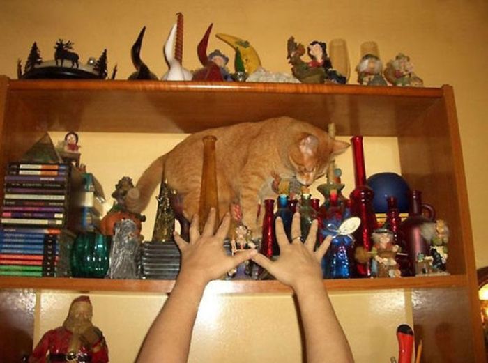 perfectly_timed_moments_16.jpg