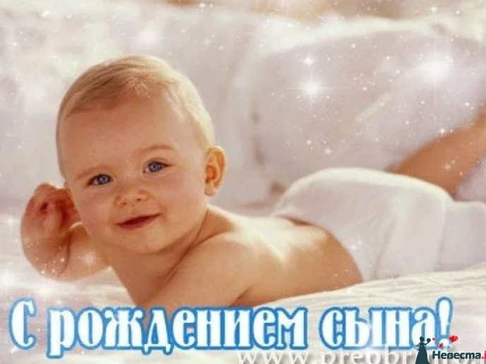 PetrovaIYu.webp