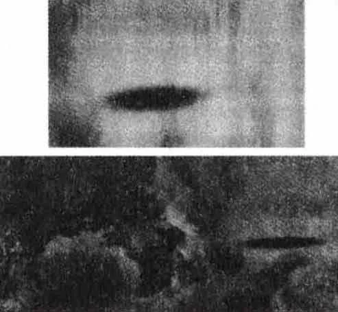 phobos-2-007.webp