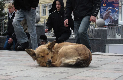 photo.webp