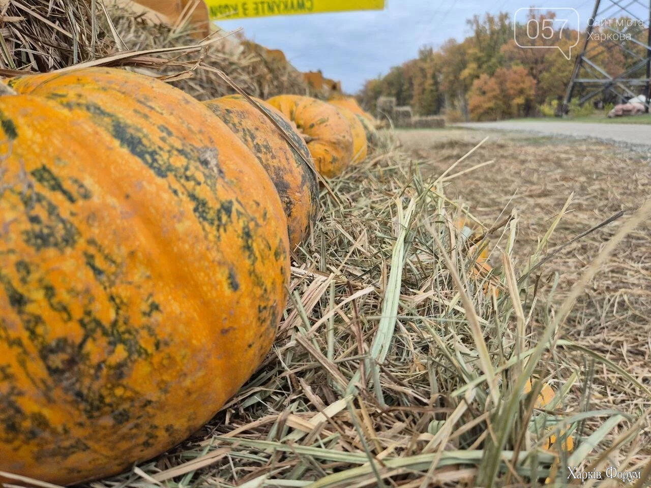 photo2025-10-2618-09-24_68fe47e784618.webp photo2025-10-2618-09-24_68fe47e784618.webp