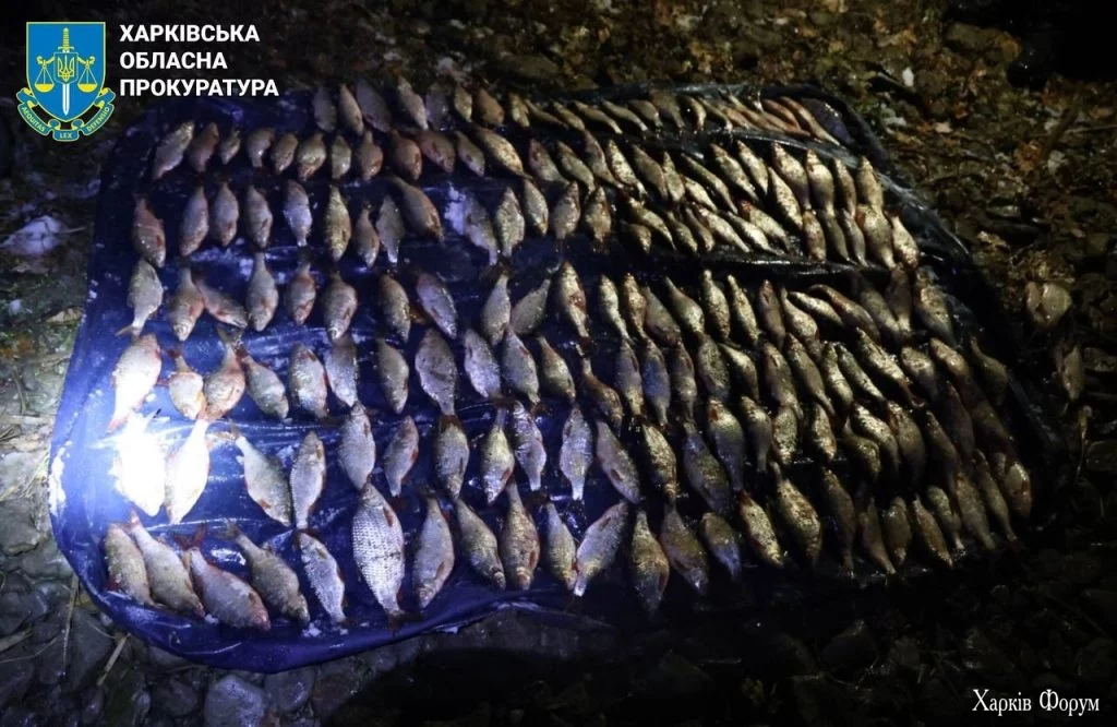 На Харківщині зловили браконьєра