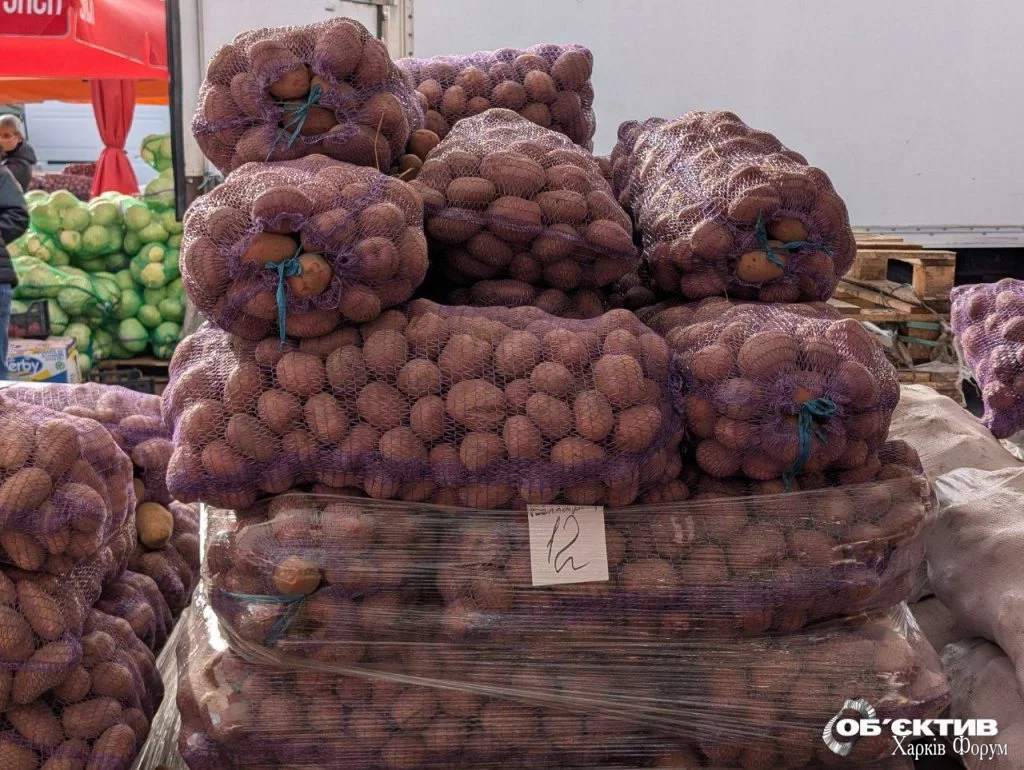 Кінний ринок у Харкові