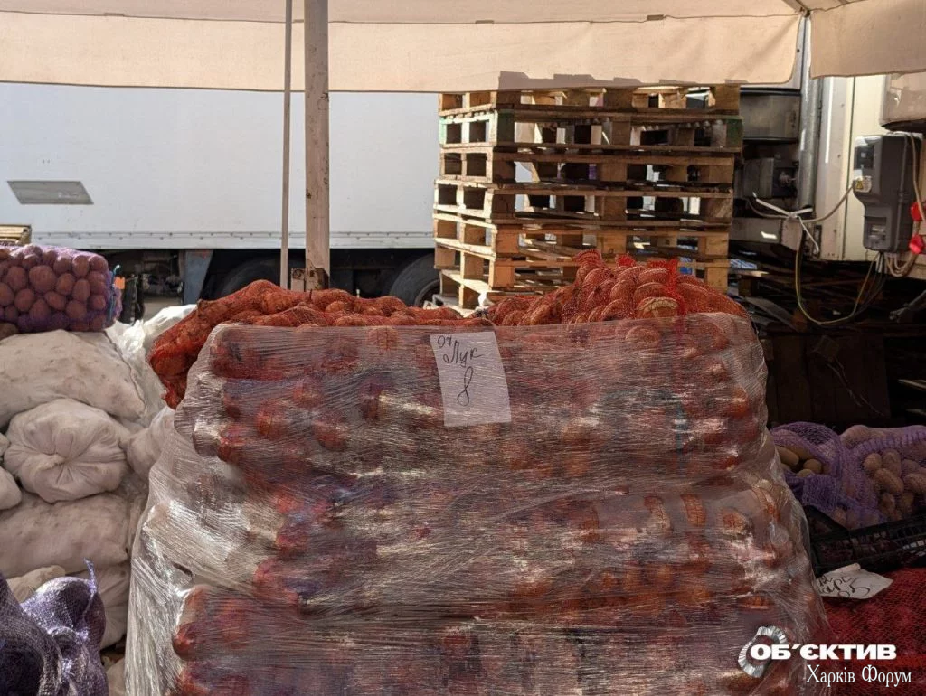 Кінний ринок у Харкові