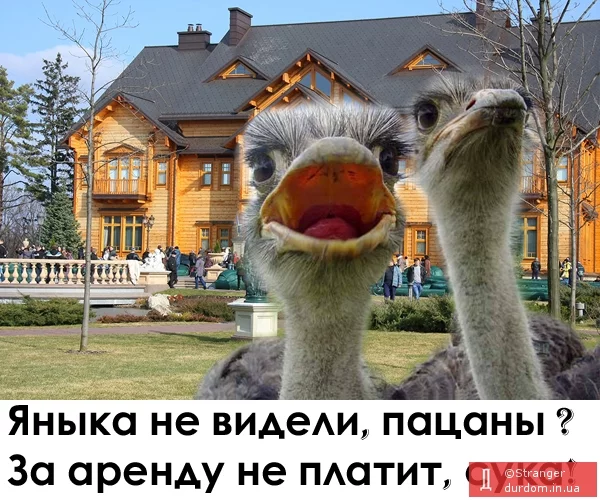photo_61062.webp