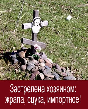 photo_61964.webp