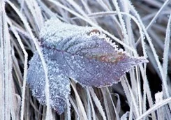 photo_big.webp