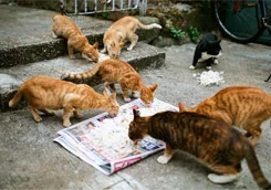 photo_big.webp