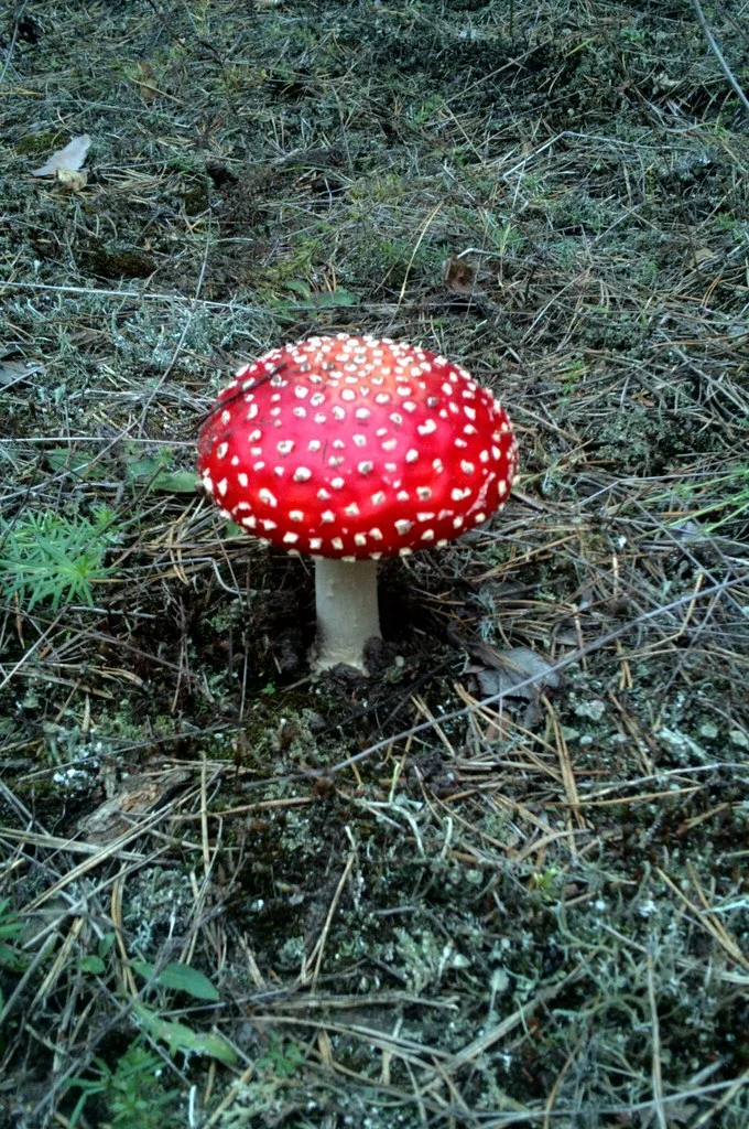 PHW2cyGq6aA.webp