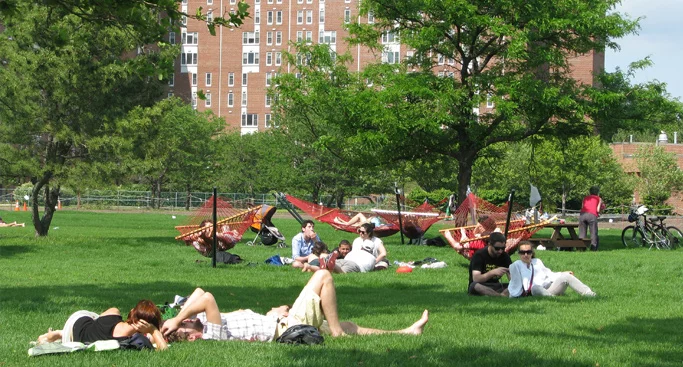 picnic_51.webp