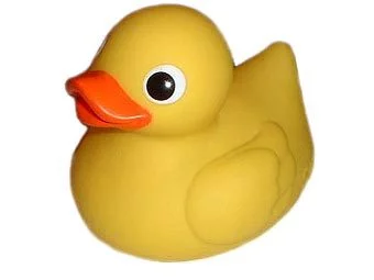 picture.webp