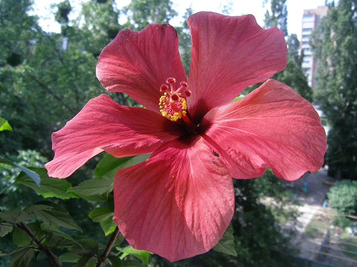 picture.webp