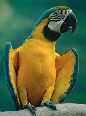 picture09.webp