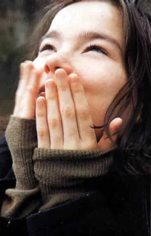 picture16.webp
