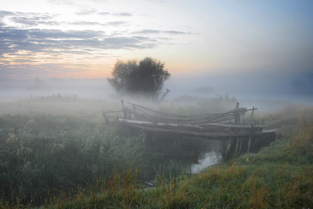 picturecontent-pid-369fb-et-abf528d.webp